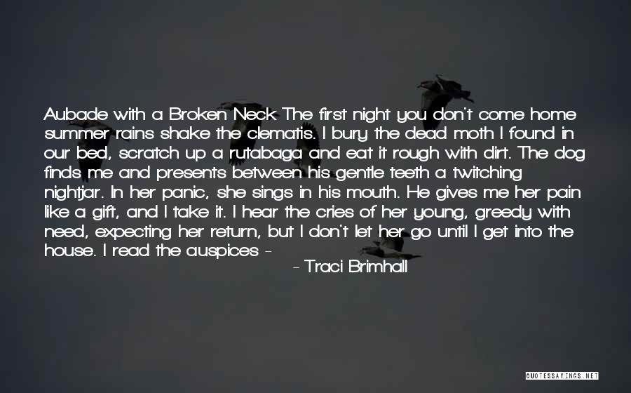 Broken Hear Quotes By Traci Brimhall Broken Hear Quotes By Traci Brimhall