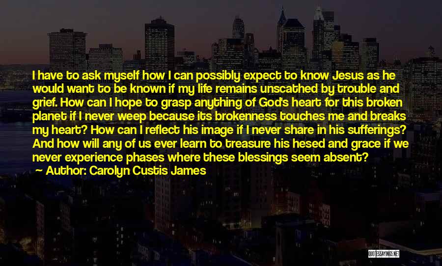 Broken Heart And Pain Quotes By Carolyn Custis James