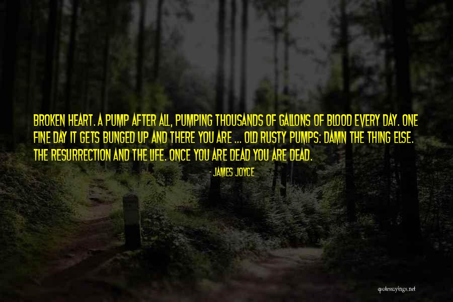 Broken Heart Dead Quotes By James Joyce Broken Heart Dead Quotes By James Joyce