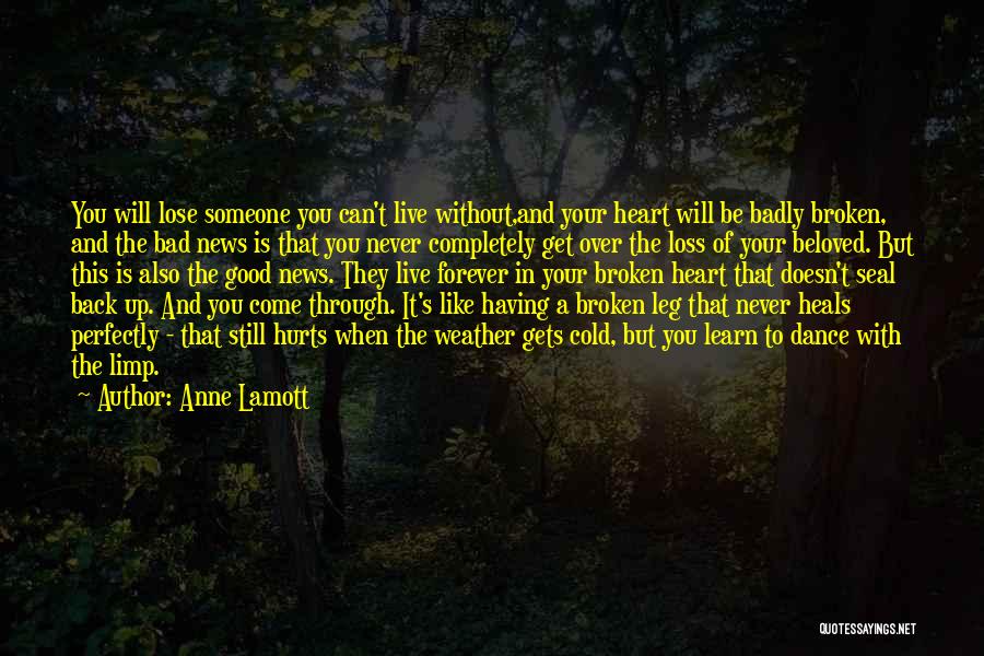 Broken Heart Never Heals Quotes By Anne Lamott