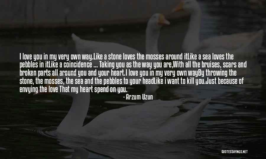 Broken Heart Poem Quotes By Arzum Uzun