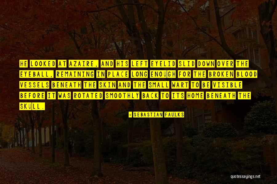 Broken Home Quotes By Sebastian Faulks