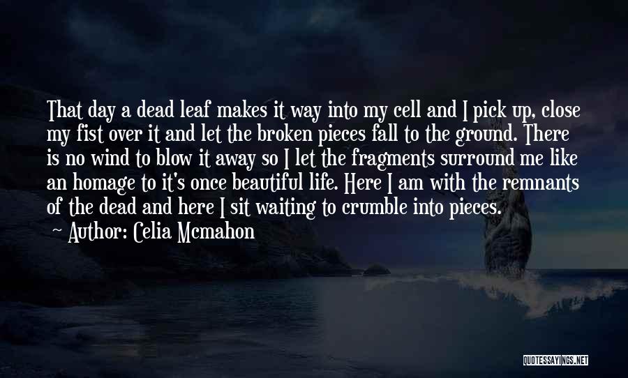 Broken Into Beautiful Quotes By Celia Mcmahon