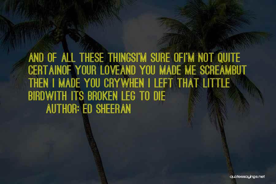 Broken Leg Quotes By Ed Sheeran
