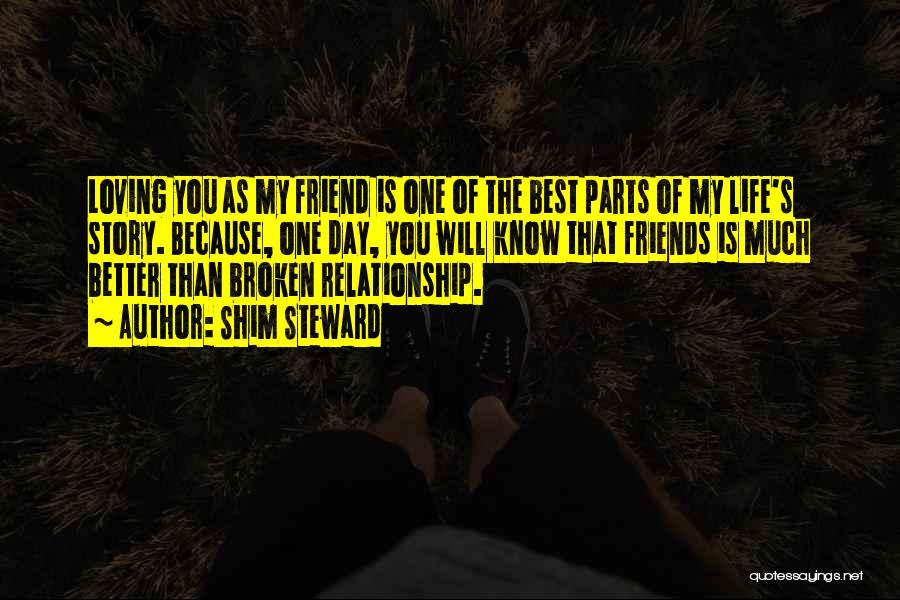 Broken Love And Friendship Quotes By Shim Steward