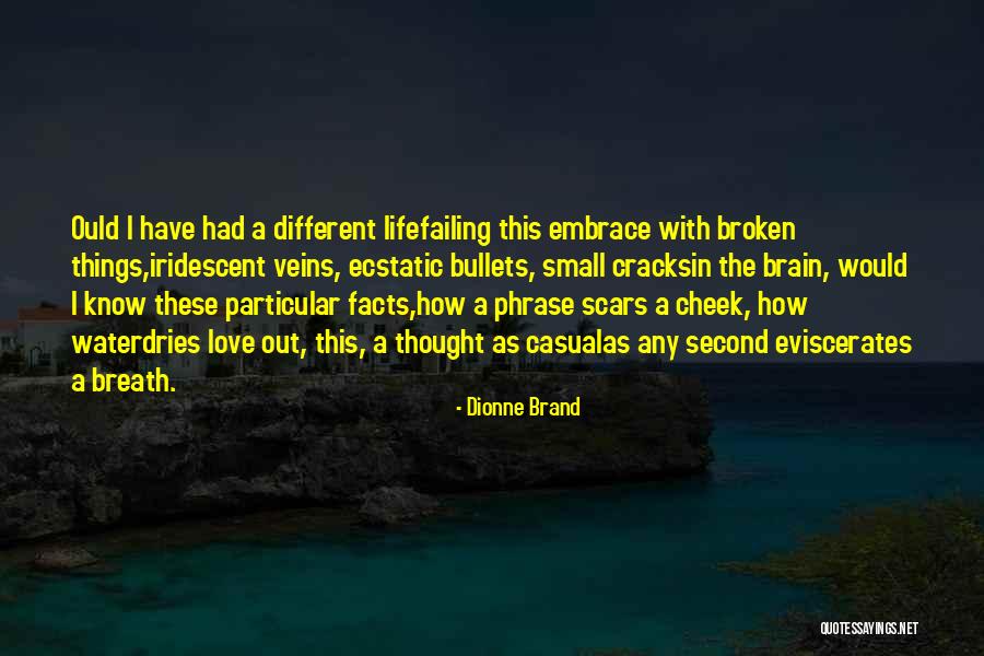 Broken Love Small Quotes By Dionne Brand Broken Love Small Quotes By Dionne Brand