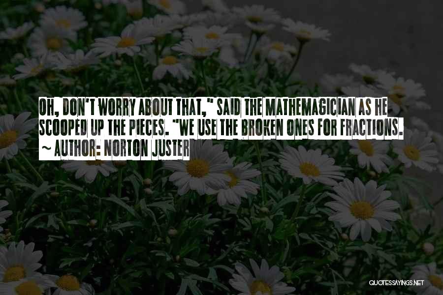 Broken Pieces Quotes By Norton Juster