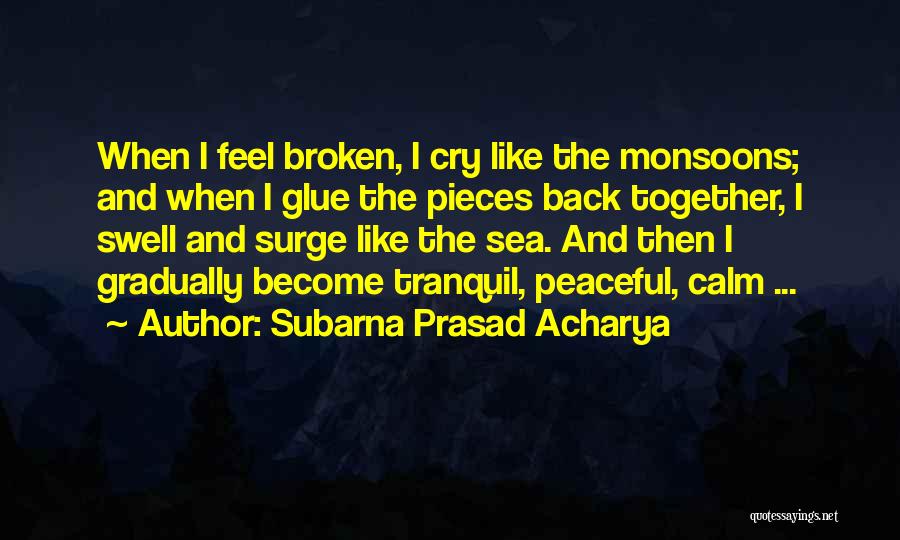 Broken Pieces Quotes By Subarna Prasad Acharya