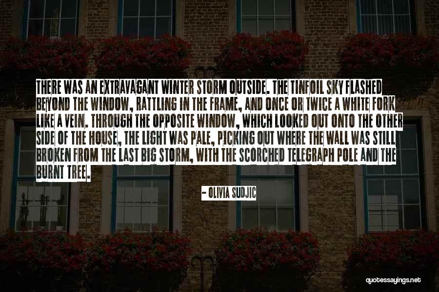 Broken Sky Quotes By Olivia Sudjic Broken Sky Quotes By Olivia Sudjic