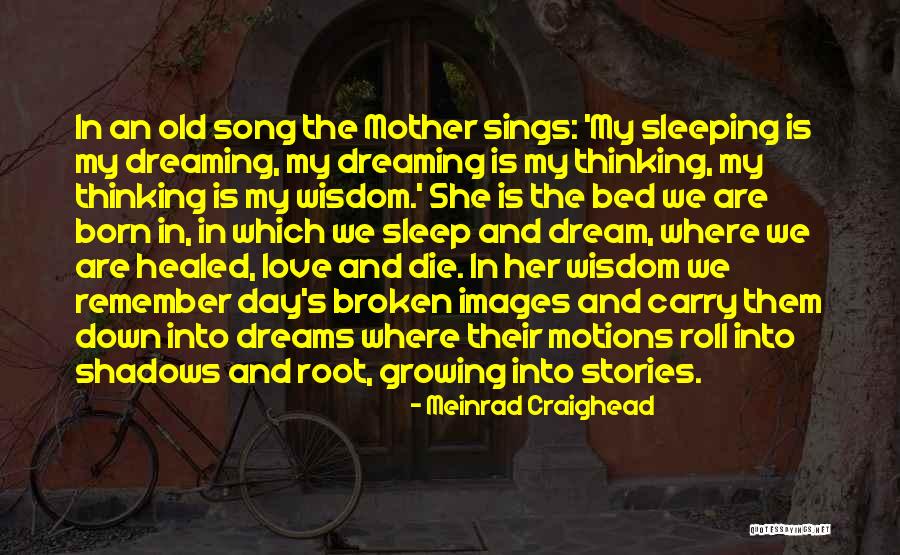 Broken Sleep Quotes By Meinrad Craighead Broken Sleep Quotes By Meinrad Craighead