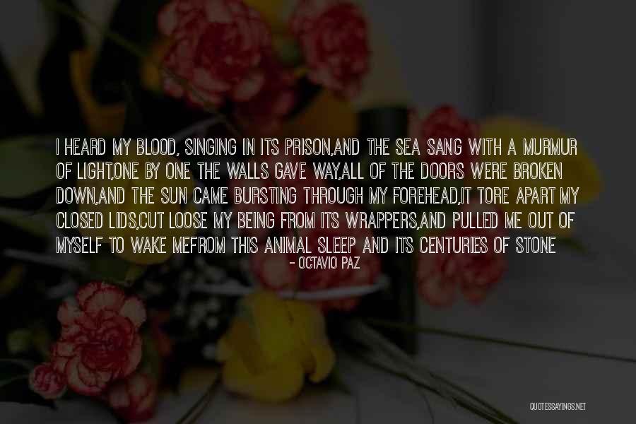 Broken Sleep Quotes By Octavio Paz Broken Sleep Quotes By Octavio Paz
