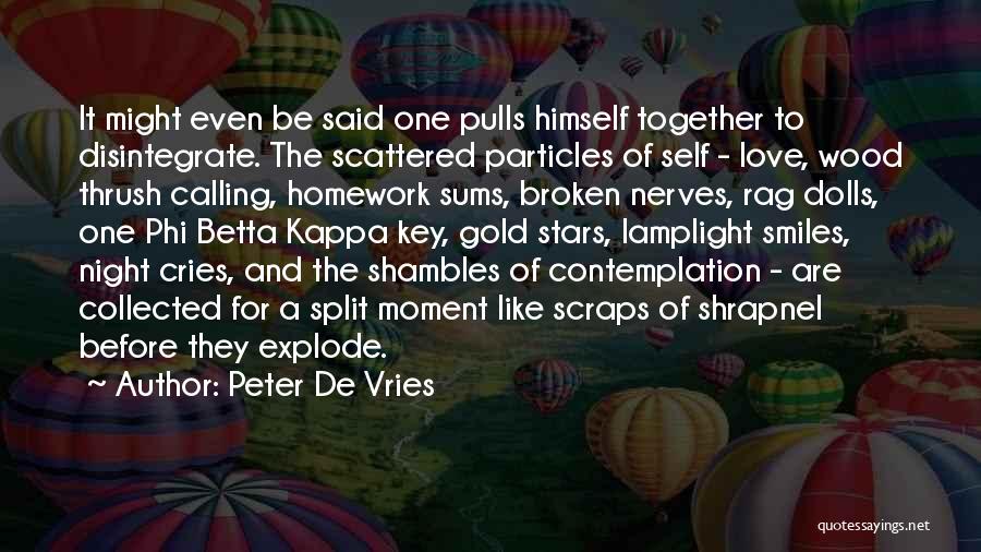 Broken Smiles Quotes By Peter De Vries