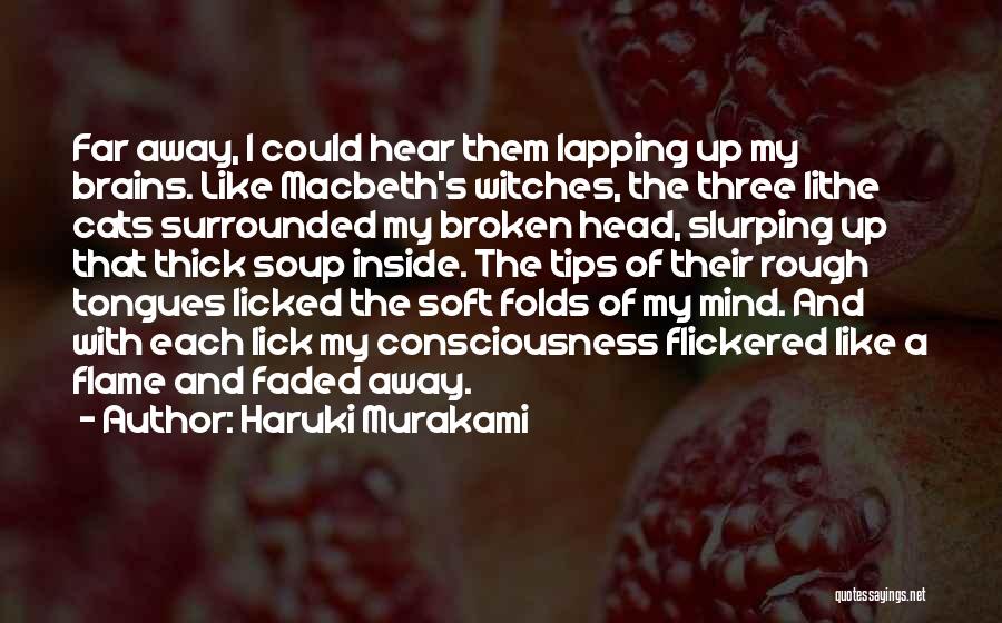 Broken Soup Quotes By Haruki Murakami