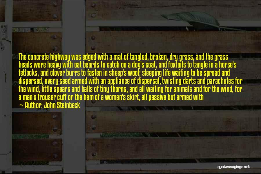 Broken Spears Quotes By John Steinbeck