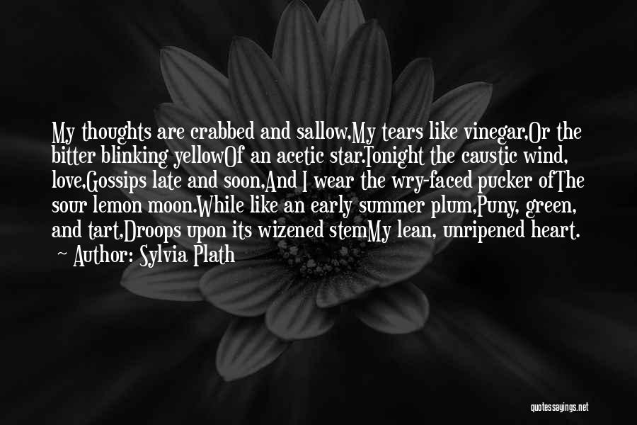 Broken Star Quotes By Sylvia Plath