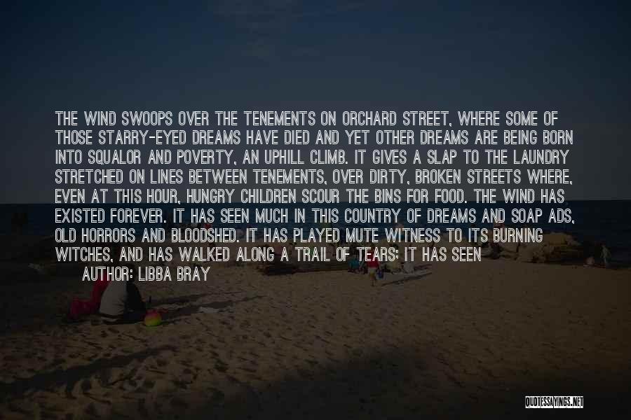 Broken Trail Quotes By Libba Bray