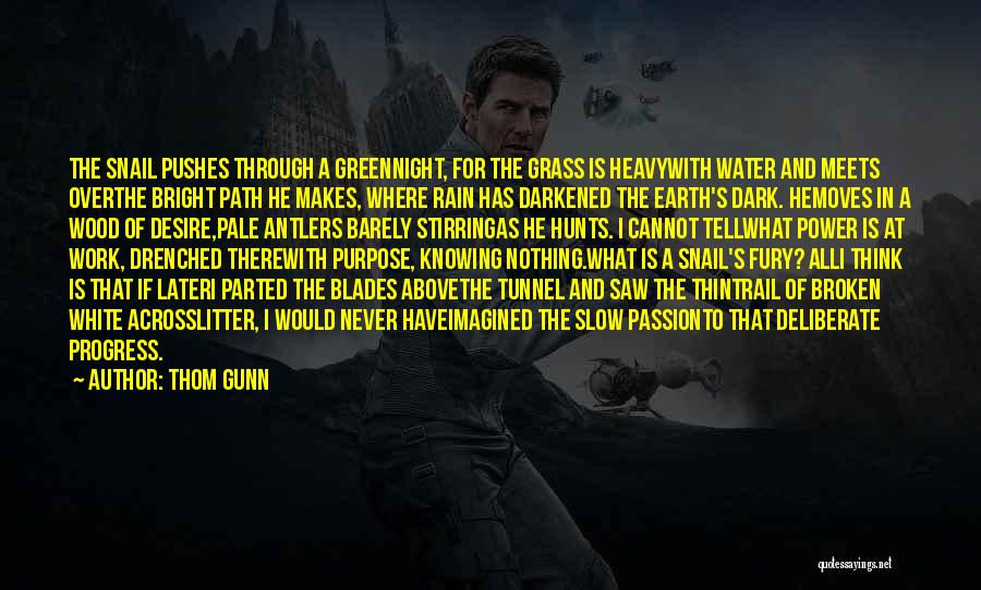 Broken Trail Quotes By Thom Gunn