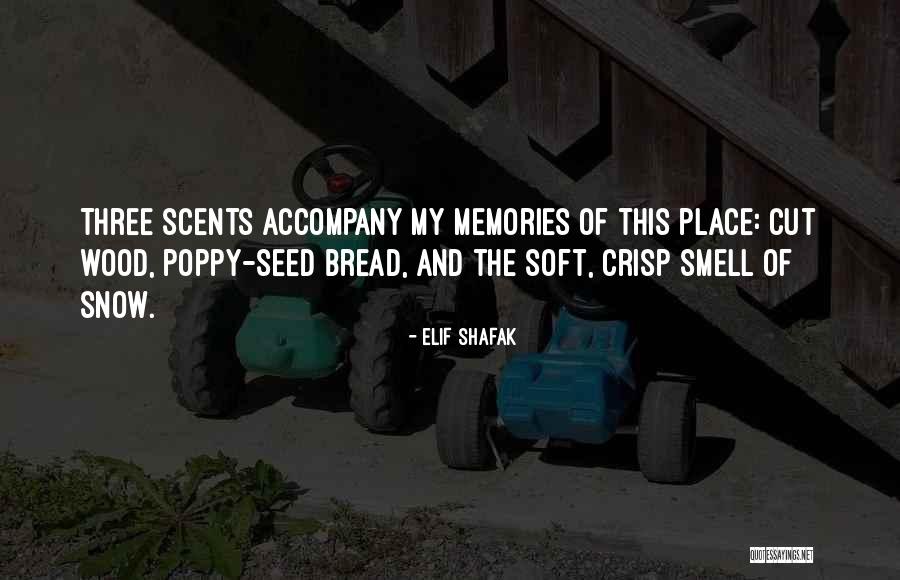 Broken Trust On Pinterest Quotes By Elif Shafak Broken Trust On Pinterest Quotes By Elif Shafak