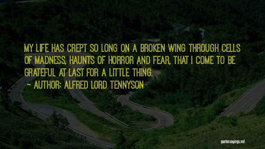 Broken Wing Quotes By Alfred Lord Tennyson