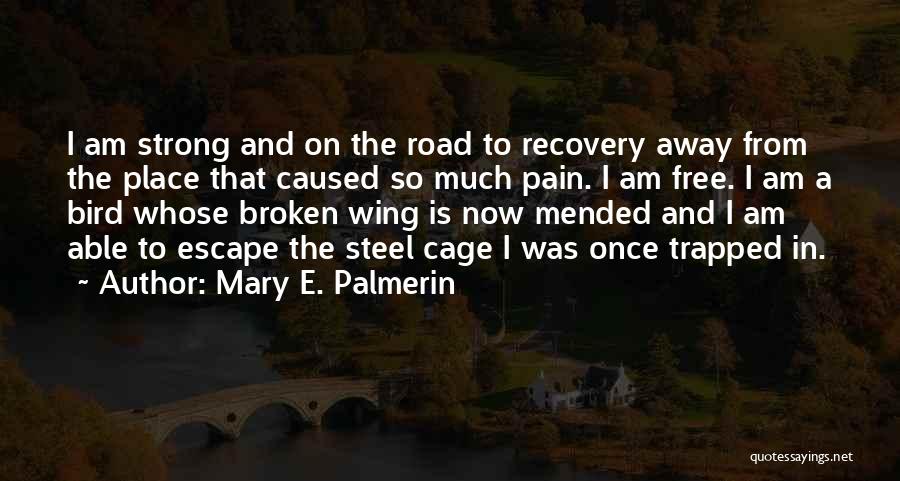 Broken Wing Quotes By Mary E. Palmerin