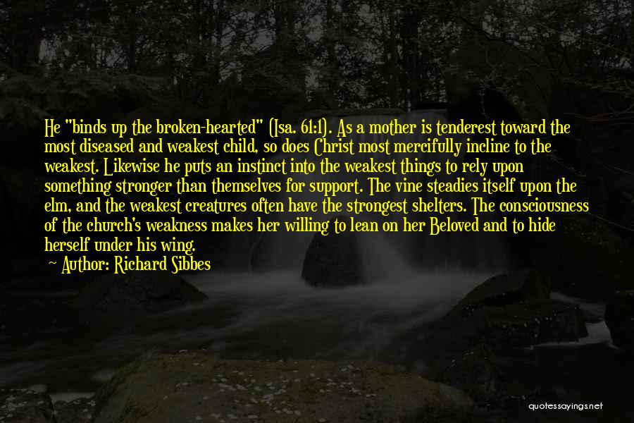 Broken Wing Quotes By Richard Sibbes