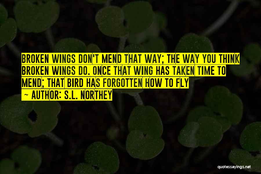 Broken Wing Quotes By S.L. Northey