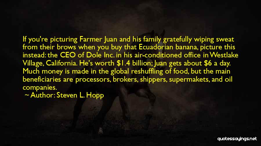 Brokers Quotes By Steven L. Hopp