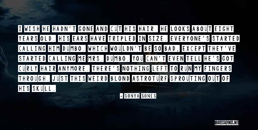 Broking Skrin Quotes By Sonya Sones Broking Skrin Quotes By Sonya Sones