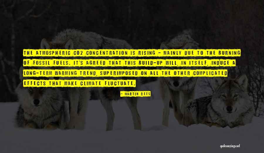 Brokinis Quotes By Martin Rees Brokinis Quotes By Martin Rees