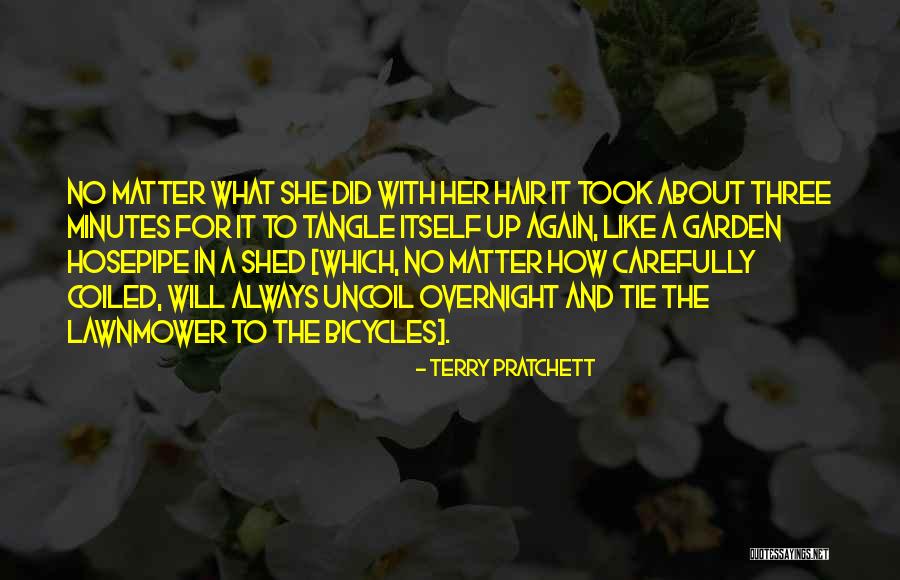 Bromated Quotes By Terry Pratchett Bromated Quotes By Terry Pratchett