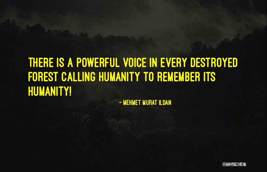 Bromby Real Estate Quotes By Mehmet Murat Ildan Bromby Real Estate Quotes By Mehmet Murat Ildan