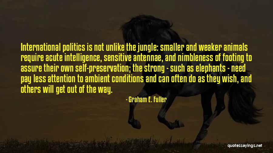 Bromek Sodu Quotes By Graham E. Fuller Bromek Sodu Quotes By Graham E. Fuller