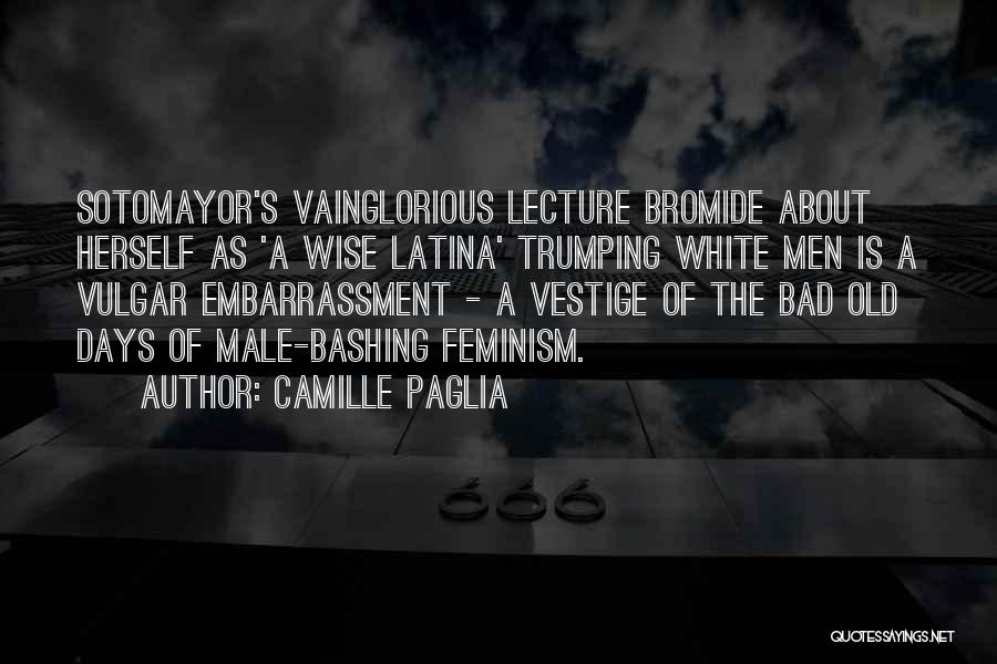 Bromide Quotes By Camille Paglia