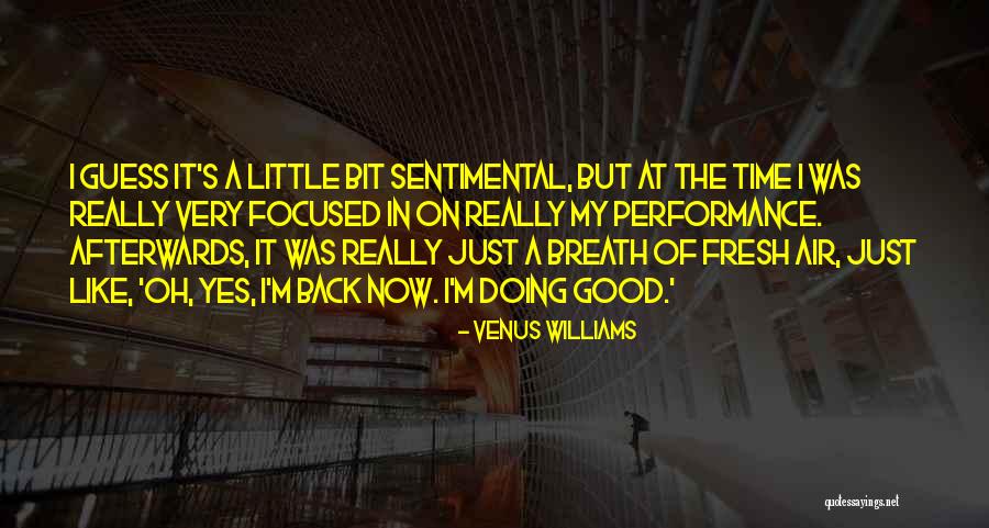Bromstad Towels Quotes By Venus Williams Bromstad Towels Quotes By Venus Williams