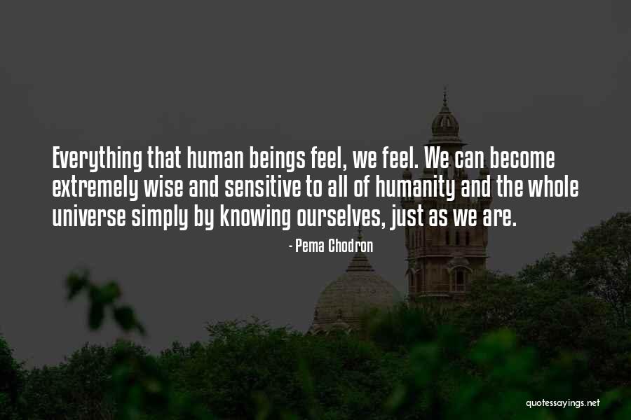Bronchus Plural Quotes By Pema Chodron Bronchus Plural Quotes By Pema Chodron