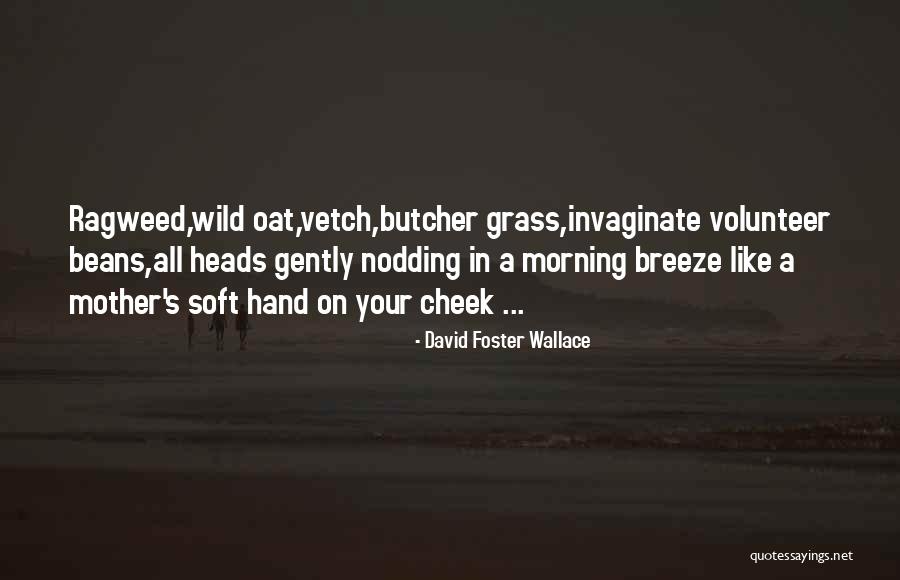 Bronfin House Quotes By David Foster Wallace Bronfin House Quotes By David Foster Wallace