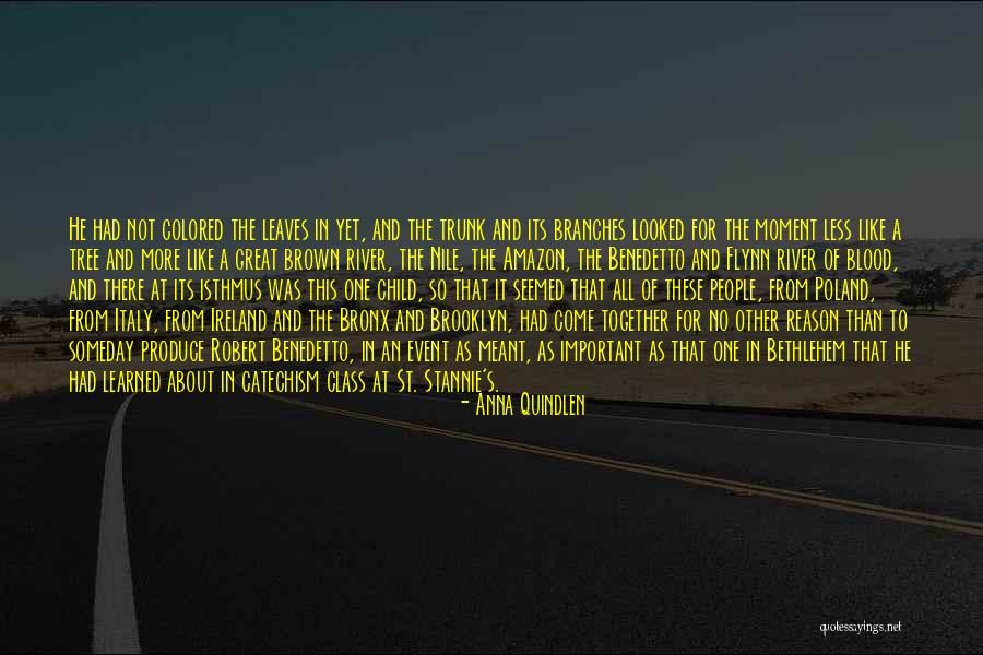 Bronx Quotes By Anna Quindlen Bronx Quotes By Anna Quindlen