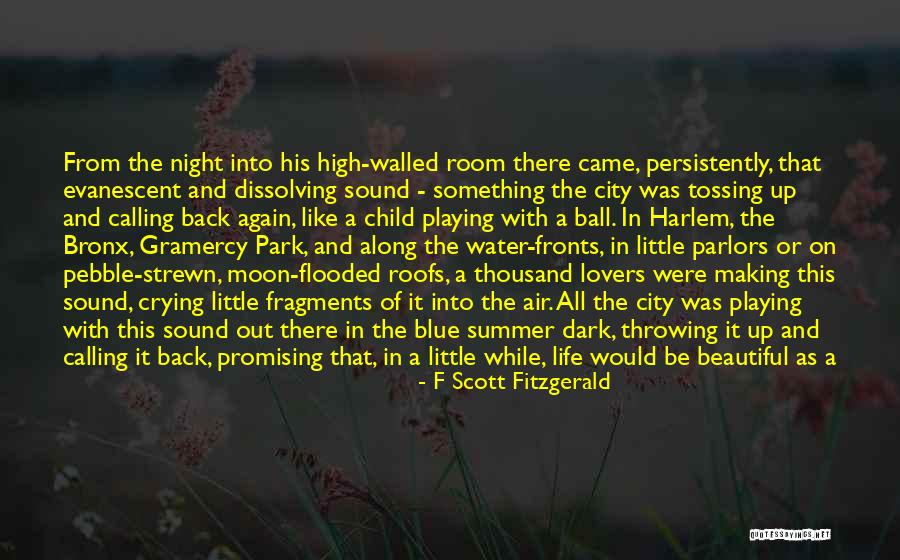 Bronx Quotes By F Scott Fitzgerald Bronx Quotes By F Scott Fitzgerald