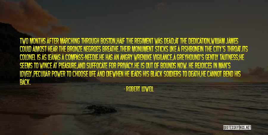 Bronze Quotes By Robert Lowell