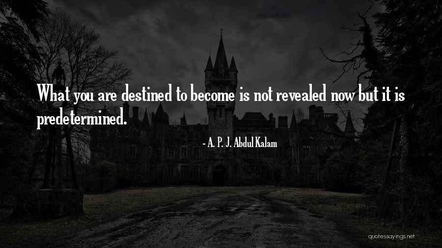 Bronzed Bunny Quotes By A. P. J. Abdul Kalam Bronzed Bunny Quotes By A. P. J. Abdul Kalam