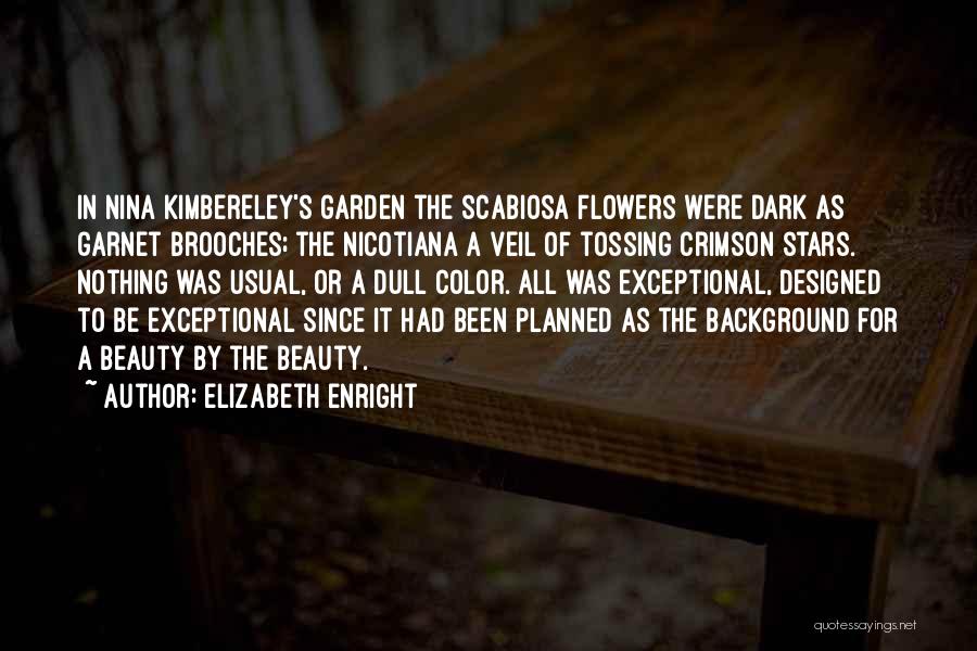 Brooches Quotes By Elizabeth Enright