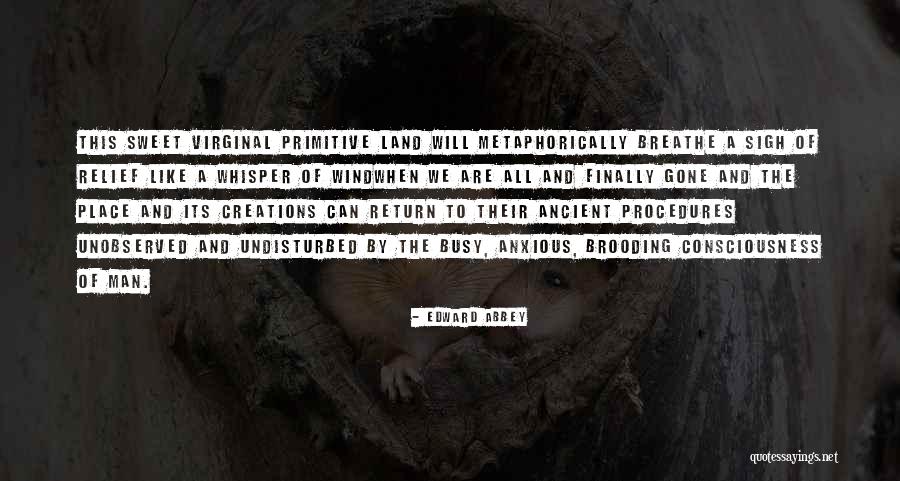 Brooding Quotes By Edward Abbey Brooding Quotes By Edward Abbey