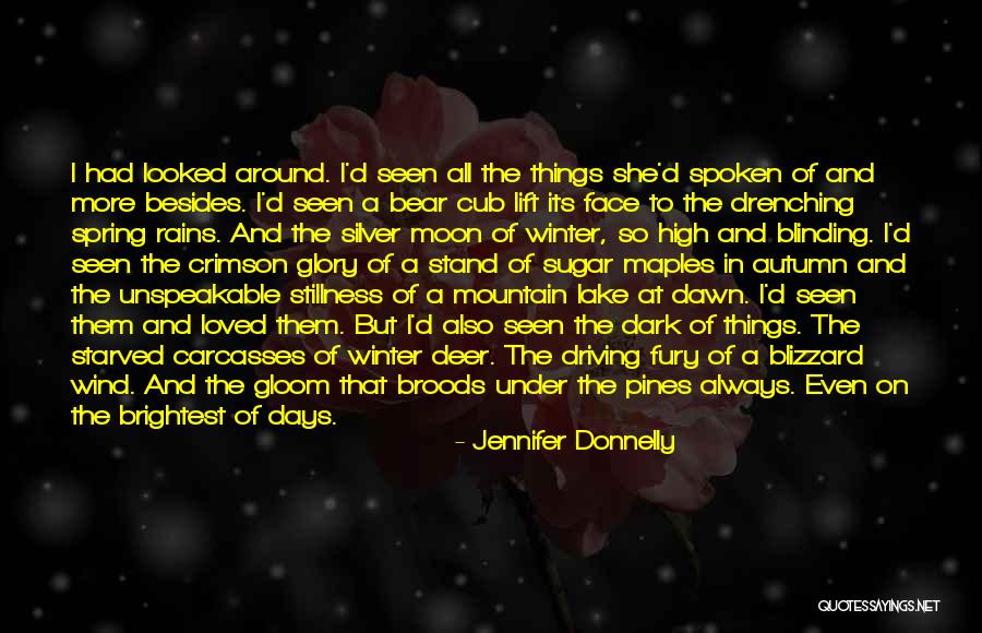 Broods Quotes By Jennifer Donnelly Broods Quotes By Jennifer Donnelly