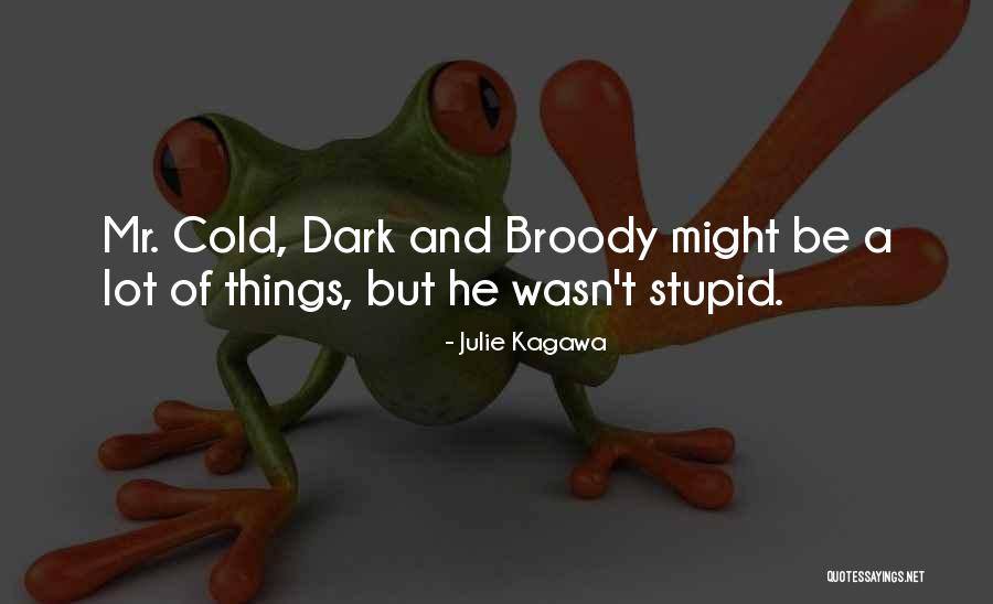 Broody Quotes By Julie Kagawa