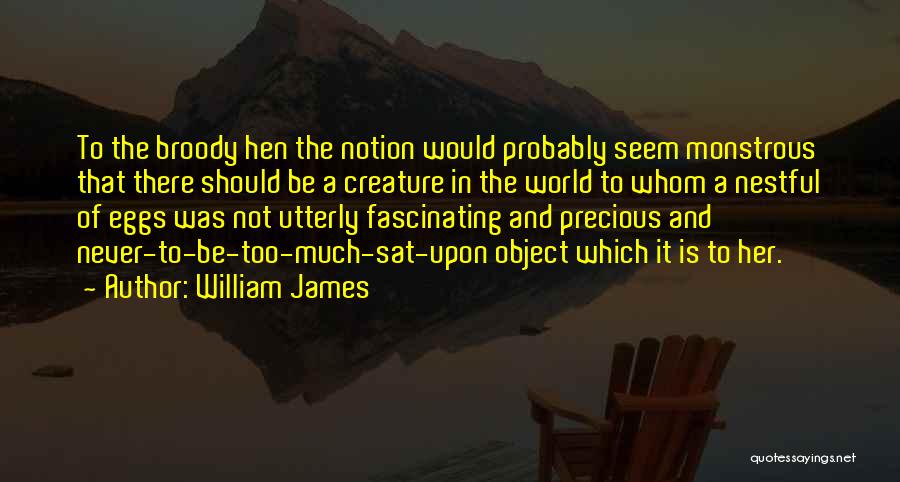 Broody Quotes By William James