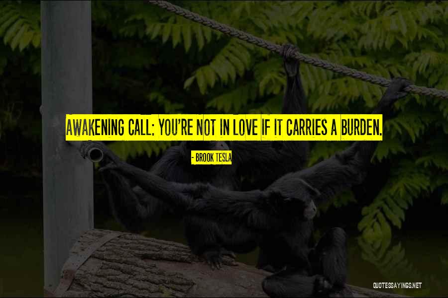 Brook Tesla Quotes 328009 Brook Tesla Quotes 328009