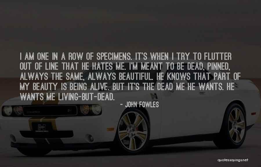 Brookhouse School Quotes By John Fowles Brookhouse School Quotes By John Fowles