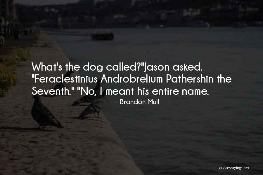 Brookley Aeroplex Quotes By Brandon Mull Brookley Aeroplex Quotes By Brandon Mull