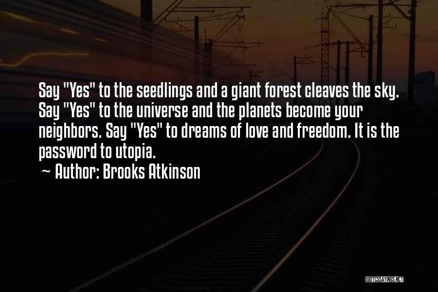 Brooks Atkinson Quotes 132086