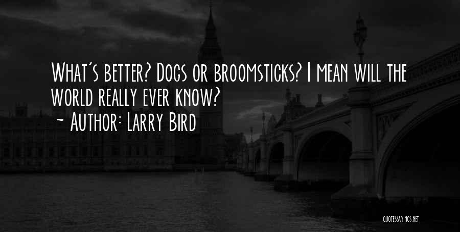 Broomsticks Quotes By Larry Bird